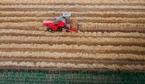 Alimentazione sostenibile